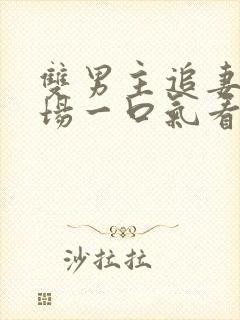 双男主追妻火葬场一口气看完封面