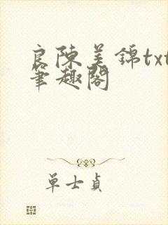 良陈美锦txt笔趣阁
