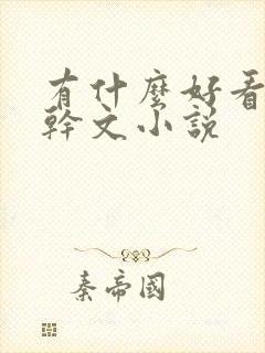 有什么好看的高干文小说封面