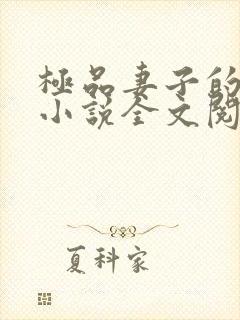 极品妻子的背叛小说全文阅读