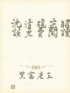 沈清砚宋昭汐小说免费阅读最新章节