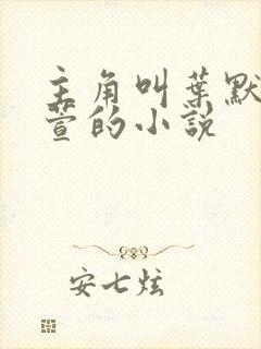 主角叫叶默和林萱的小说