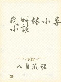 我叫林小喜全部小说