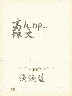 高h.np..辣文
