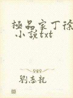 极品家丁徐芷晴 小说txt