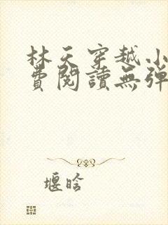 林天穿越小说免费阅读无弹窗封面