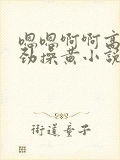 嗯嗯啊啊高潮使劲操黄小说封面