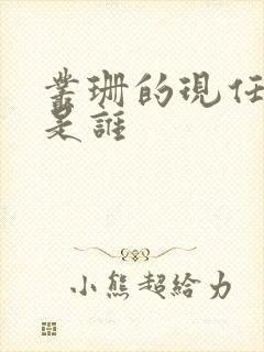 丛珊的现任丈夫是谁