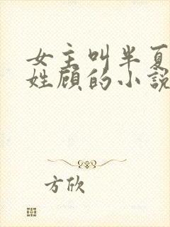 女主叫半夏男主姓顾的小说