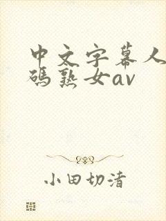 中文字幕人成乱码熟女av封面