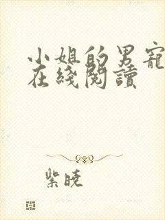 小姐的男宠元媛在线阅读