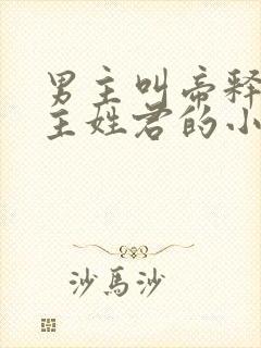 男主叫帝释天女主姓君的小说