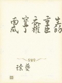 南宝衣重生后我成了权臣的掌中娇