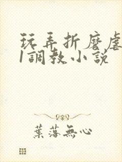 玩弄折磨虐女91调教小说