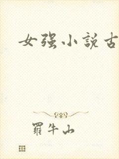 女强小说古言封面