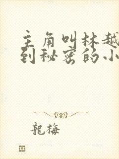 主角叫林越能听到秘密的小说