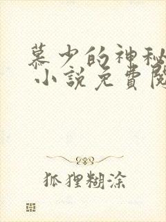 慕少的神秘娇妻 小说免费阅读