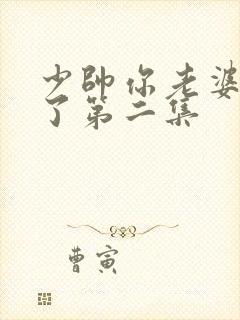 少帅你老婆又跑了第二集