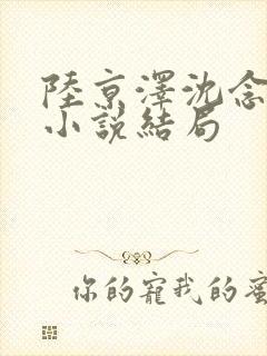 陆京泽沈念沈烟小说结局