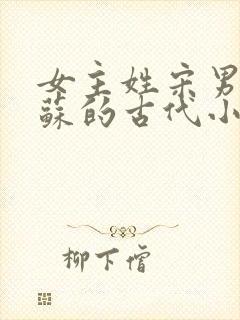 女主姓宋男主姓苏的古代小说