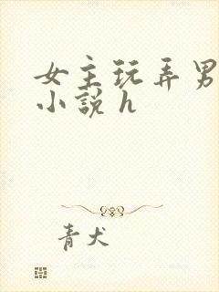 女主玩弄男人的小说 h