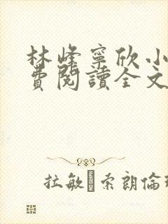 林峰宁欣小说免费阅读全文最新章节笔趣阁