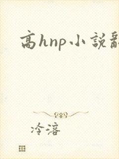 高hnp小说乱封面