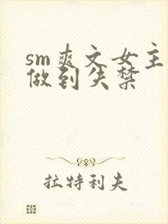 sm爽文女主被做到失禁