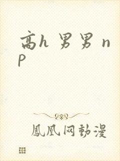 高h 男男 np