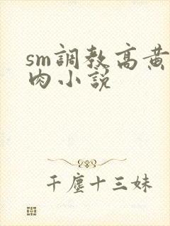 sm调教高黄纯肉小说封面