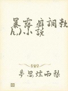 暴露癖调教(高h,)小说封面