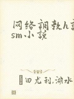 网络调教h认主sm小说封面