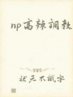 np高辣调教文