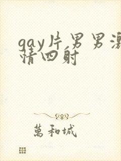 gay片男男激情四射