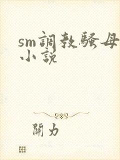 sm调教骚母狗小说