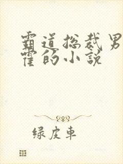 霸道总裁男主姓霍的小说封面