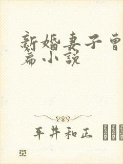 新婚妻子曹仁全篇小说