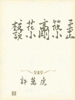 校花高筱柔的小说小刚小正催眠