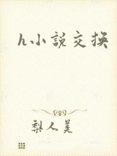 h小说交换