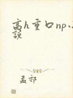 高h重口np小说封面