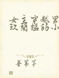 女主穿越男主是玖兰枢的小说封面