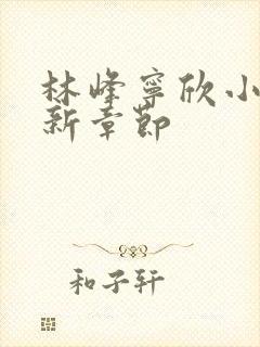 林峰宁欣小说最新章节