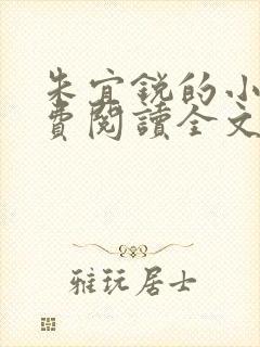 朱宜锐的小说免费阅读全文