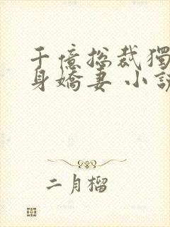 千亿总裁独宠替身娇妻 小说完整