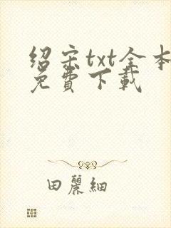 绍宋txt全本免费下载