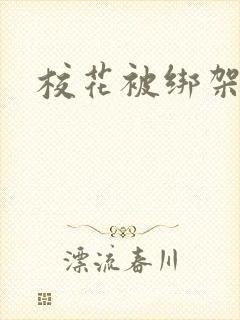 校花被绑架封面