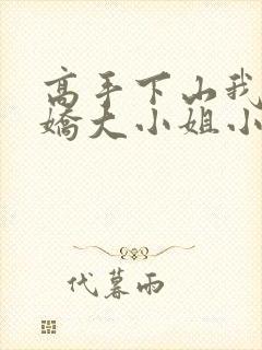 高手下山我的傲娇大小姐小说免费阅读