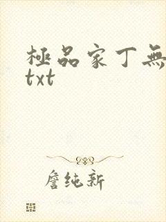 极品家丁无删减txt