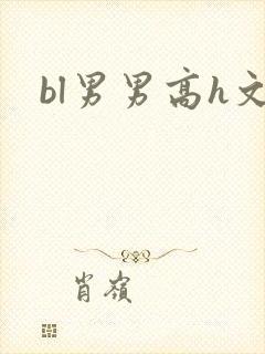 bl男男高h文封面