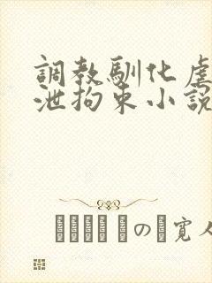 调教驯化虐身排泄拘束小说